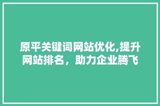 原平关键词网站优化,提升网站排名，助力企业腾飞