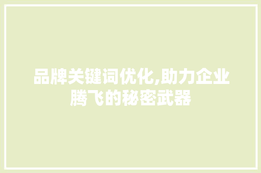 品牌关键词优化,助力企业腾飞的秘密武器  第1张
