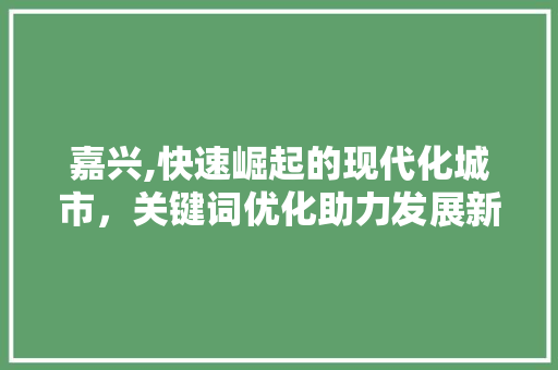 嘉兴,快速崛起的现代化城市，关键词优化助力发展新篇章