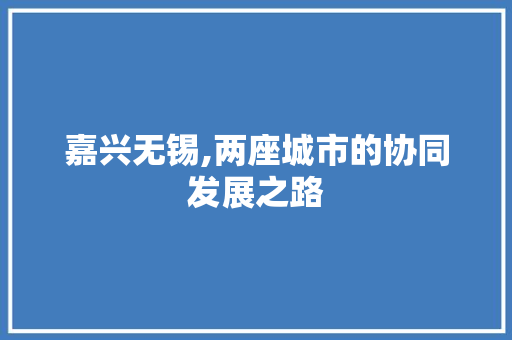 嘉兴无锡,两座城市的协同发展之路