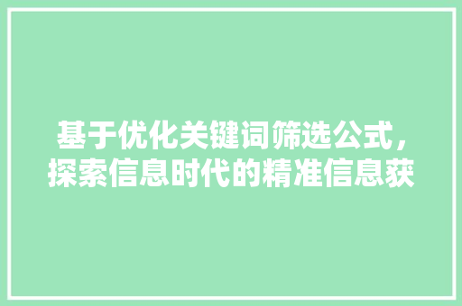 基于优化关键词筛选公式，探索信息时代的精准信息获取
