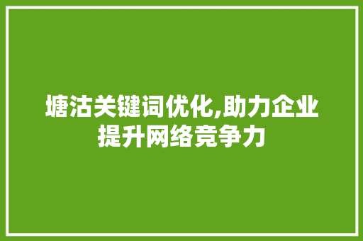塘沽关键词优化,助力企业提升网络竞争力  第1张