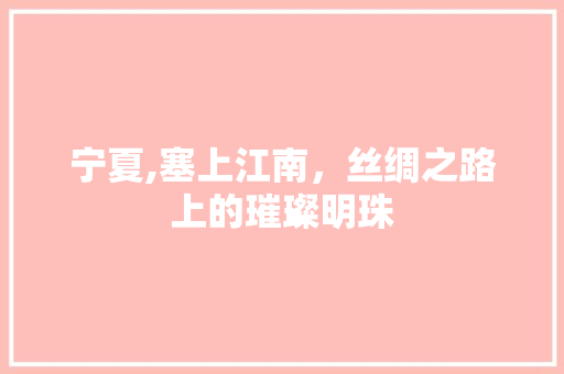 宁夏,塞上江南，丝绸之路上的璀璨明珠  第1张