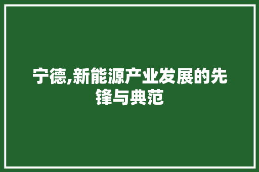 宁德,新能源产业发展的先锋与典范