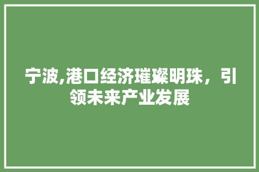 宁波,港口经济璀璨明珠，引领未来产业发展