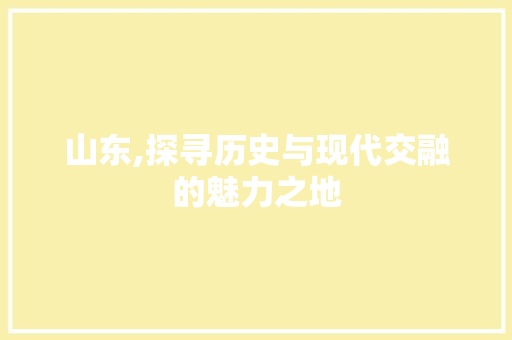 山东,探寻历史与现代交融的魅力之地