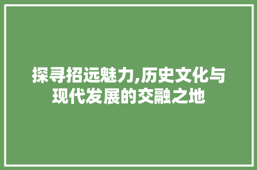 探寻招远魅力,历史文化与现代发展的交融之地
