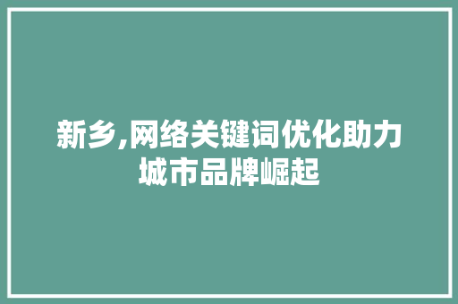 新乡,网络关键词优化助力城市品牌崛起  第1张