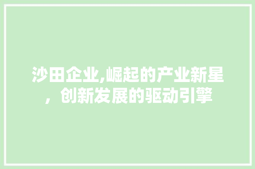 沙田企业,崛起的产业新星，创新发展的驱动引擎