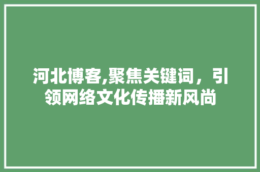 河北博客,聚焦关键词，引领网络文化传播新风尚