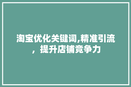 淘宝优化关键词,精准引流，提升店铺竞争力