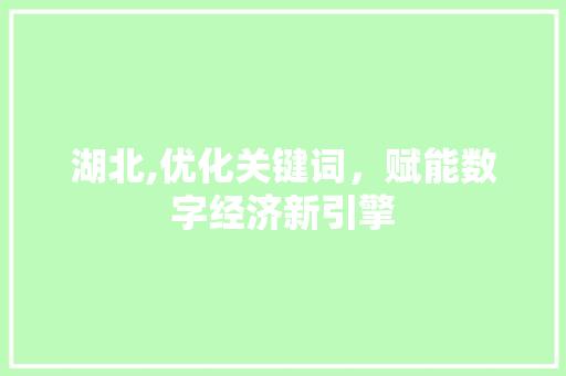 湖北,优化关键词，赋能数字经济新引擎  第1张