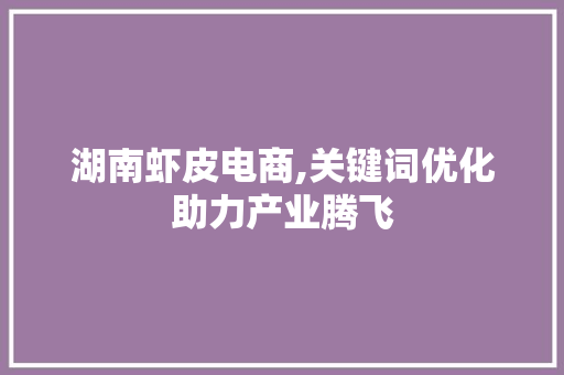 湖南虾皮电商,关键词优化助力产业腾飞