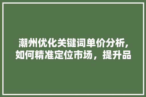 潮州优化关键词单价分析,如何精准定位市场，提升品牌影响力