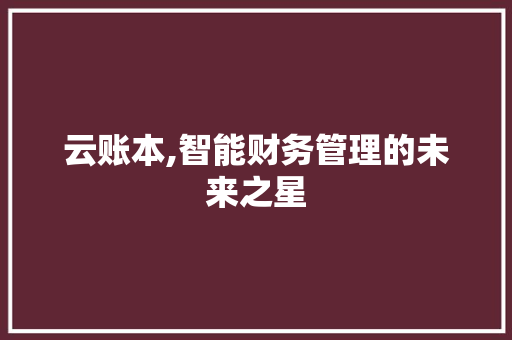 云账本,智能财务管理的未来之星  第1张