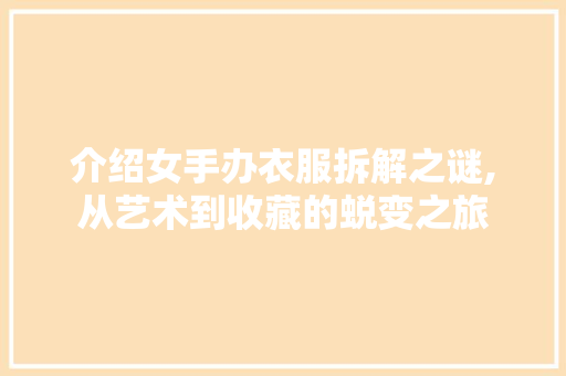 介绍女手办衣服拆解之谜,从艺术到收藏的蜕变之旅