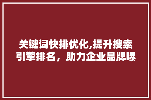 关键词快排优化,提升搜索引擎排名，助力企业品牌曝光
