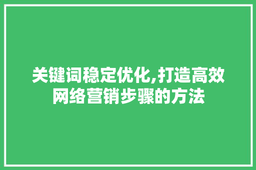 关键词稳定优化,打造高效网络营销步骤的方法  第1张
