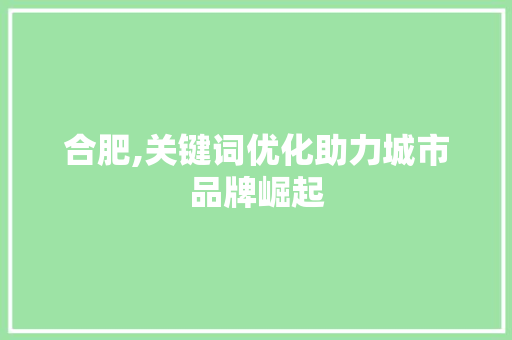 合肥,关键词优化助力城市品牌崛起  第1张