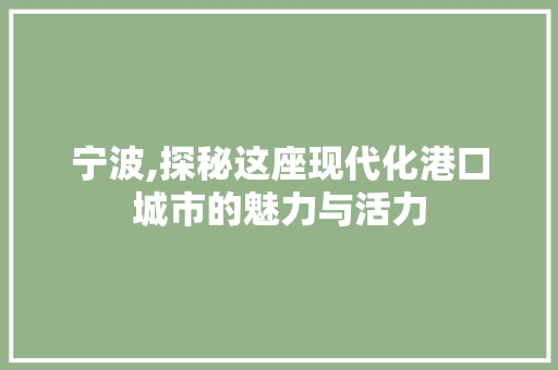 宁波,探秘这座现代化港口城市的魅力与活力