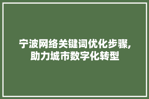 宁波网络关键词优化步骤,助力城市数字化转型