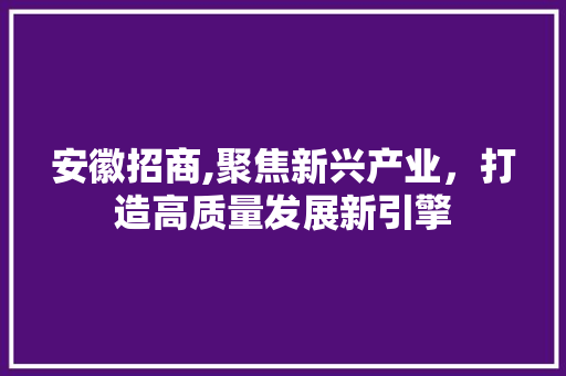 安徽招商,聚焦新兴产业，打造高质量发展新引擎