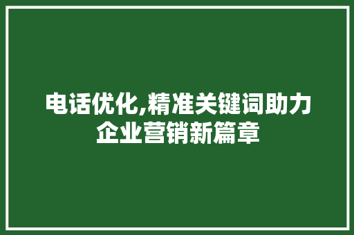 电话优化,精准关键词助力企业营销新篇章