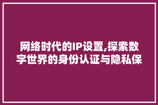 网络时代的IP设置,探索数字世界的身份认证与隐私保护