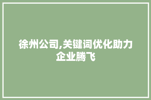 徐州公司,关键词优化助力企业腾飞