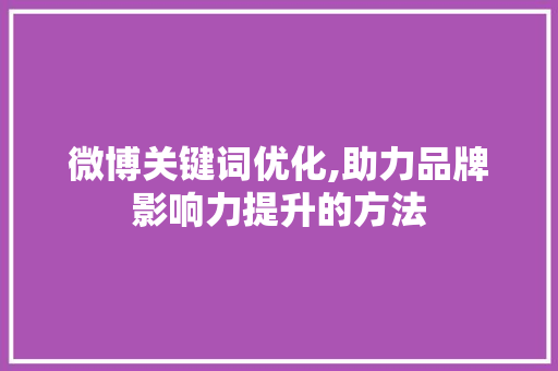 微博关键词优化,助力品牌影响力提升的方法