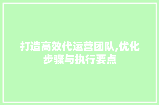 打造高效代运营团队,优化步骤与执行要点