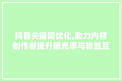 抖音关键词优化,助力内容创作者提升曝光率与粉丝互动
