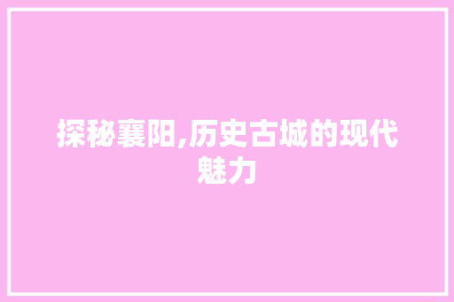 探秘襄阳,历史古城的现代魅力