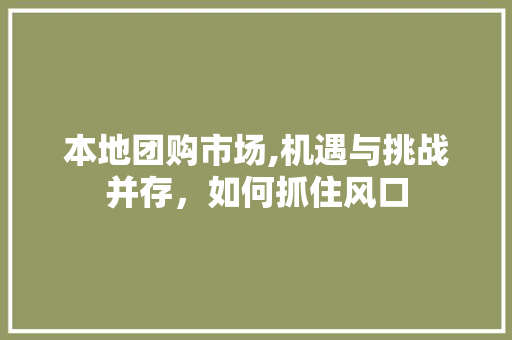本地团购市场,机遇与挑战并存，如何抓住风口