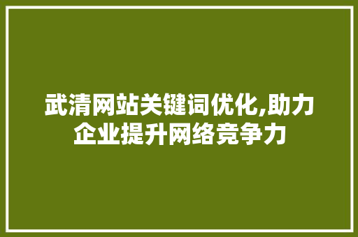 武清网站关键词优化,助力企业提升网络竞争力