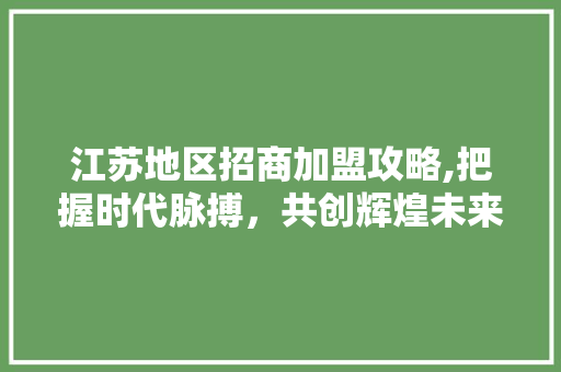 江苏地区招商加盟攻略,把握时代脉搏，共创辉煌未来