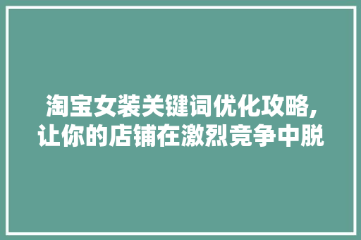 淘宝女装关键词优化攻略,让你的店铺在激烈竞争中脱颖而出