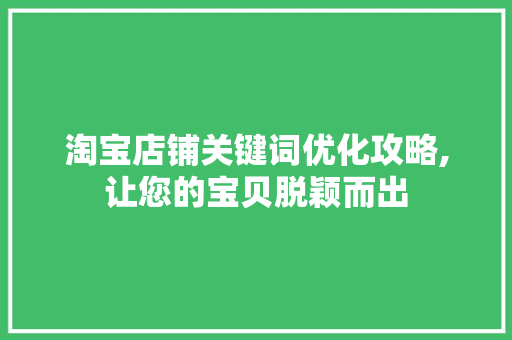 淘宝店铺关键词优化攻略,让您的宝贝脱颖而出