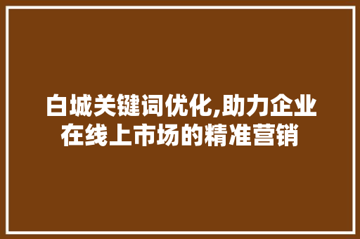 白城关键词优化,助力企业在线上市场的精准营销  第1张