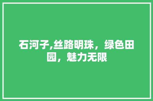 石河子,丝路明珠，绿色田园，魅力无限