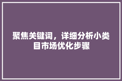 聚焦关键词，详细分析小类目市场优化步骤