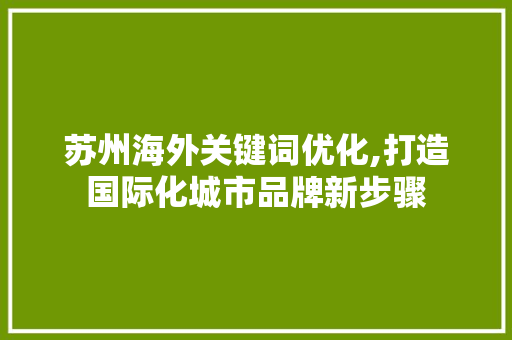 苏州海外关键词优化,打造国际化城市品牌新步骤