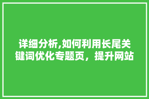 详细分析,如何利用长尾关键词优化专题页，提升网站流量  第1张