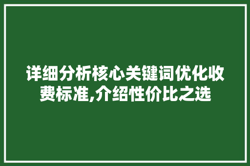 详细分析核心关键词优化收费标准,介绍性价比之选