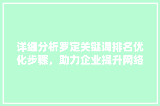 详细分析罗定关键词排名优化步骤，助力企业提升网络竞争力  第1张