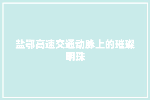 盐鄂高速交通动脉上的璀璨明珠
