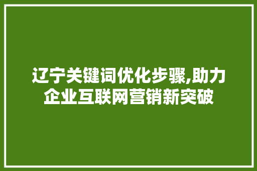 辽宁关键词优化步骤,助力企业互联网营销新突破