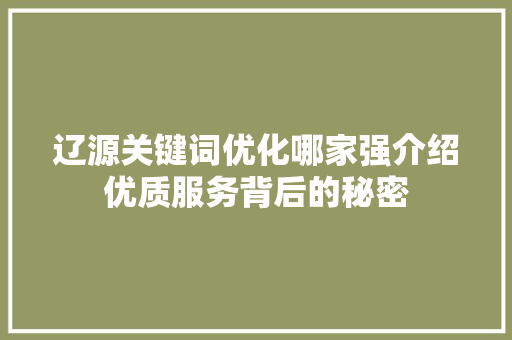辽源关键词优化哪家强介绍优质服务背后的秘密