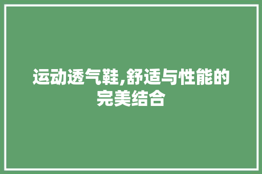 运动透气鞋,舒适与性能的完美结合