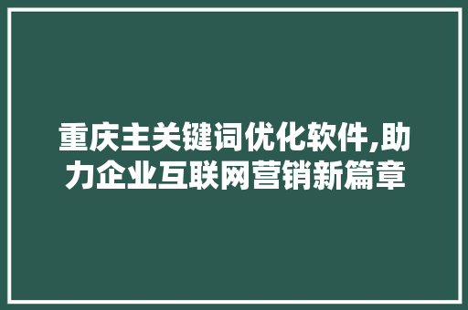 重庆主关键词优化软件,助力企业互联网营销新篇章